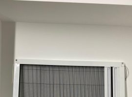 PLİSELİ SİNEKLİK